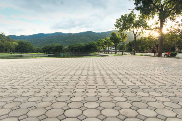 Best Driveway Paving Contractor  in Raytown, MO